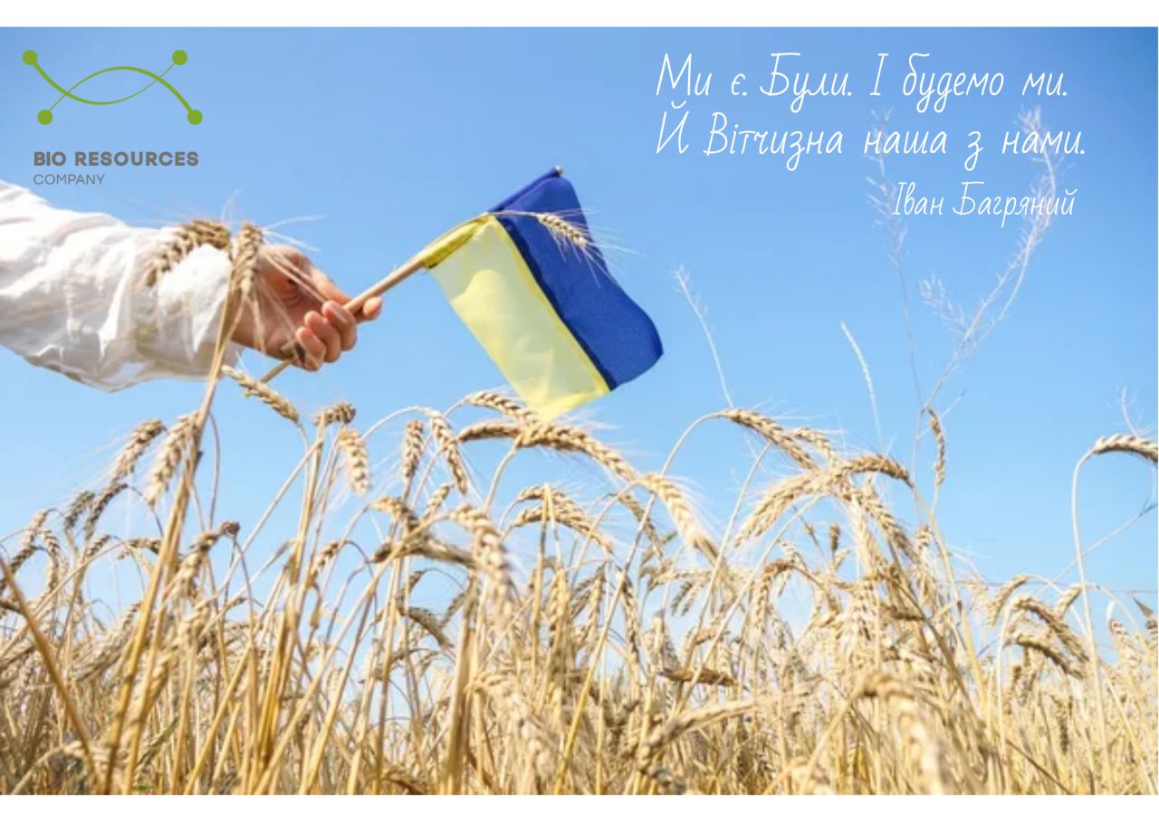 З ДНЕМ НЕЗАЛЕЖНОСТІ УКРАЇНИ!